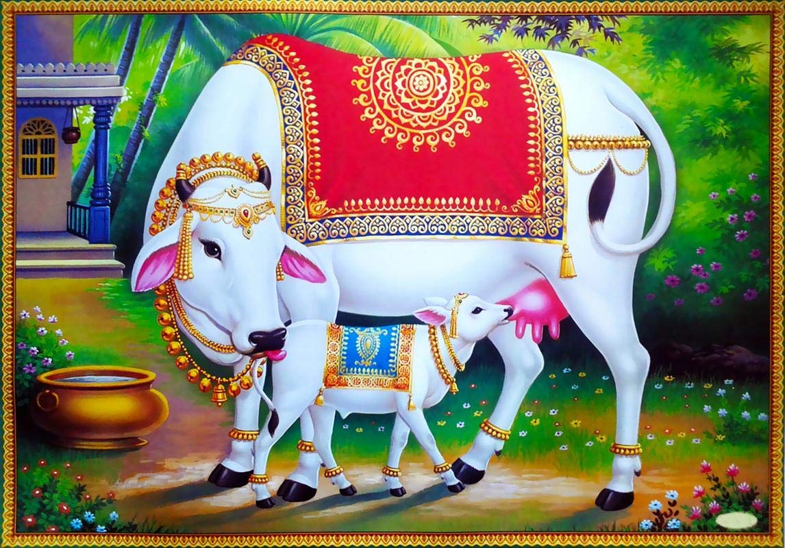 Kamadhenu: The Divine Bovine and Her Celestial Gift